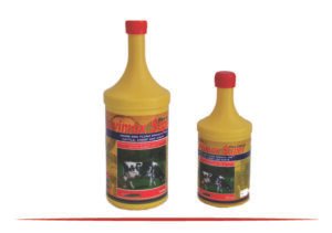 Our Products artboard3