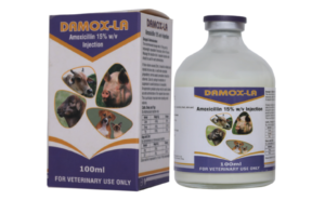Our Products damox