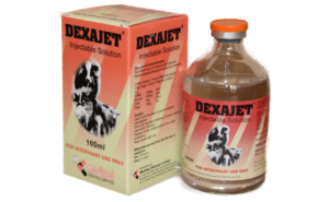 Our Products dexajet